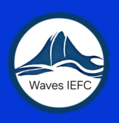 Waves Consultancy